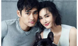 娱乐圈吃瓜小达人,揭秘明星幕后故事